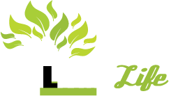 Living Life Ministries